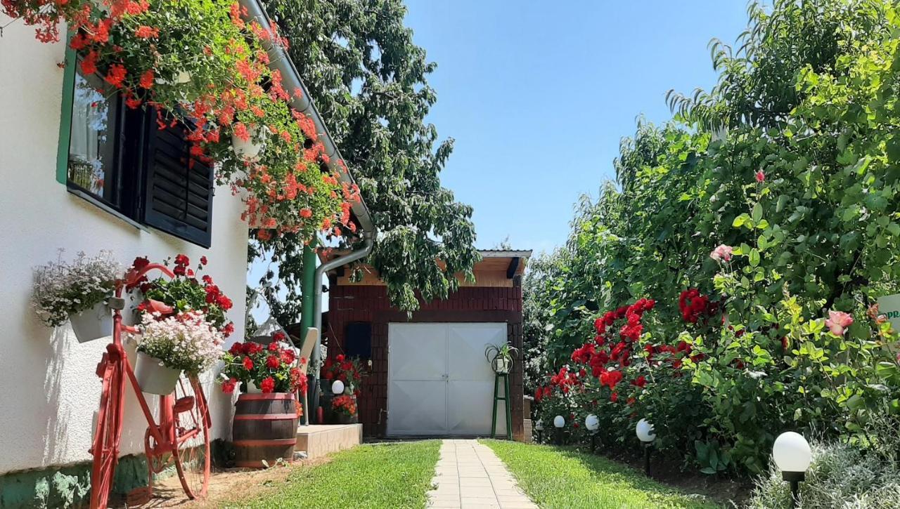 Apartment Amigo Sirova Katalena Εξωτερικό φωτογραφία
